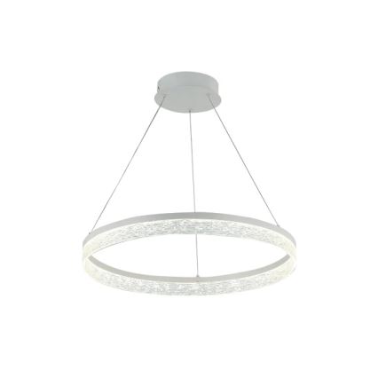 Dæmpbar LED-pendel på wire ALIANZ LED/60W/230V 3000-6000K Ø 80 cm + fjernbetjening
