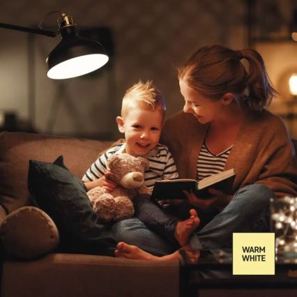 LED dæmpbar pære A60 E27/10,5W/230V 2700K