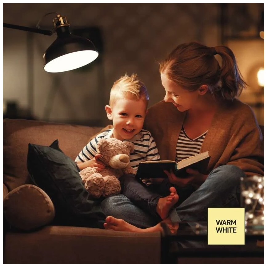 LED dæmpbar pære A60 E27/10,5W/230V 2700K