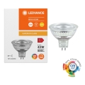 LED-dæmpbar reflektorpære MR16 GU5,3/6,6W/12V 3000K 36° CRI 97 - Ledvance