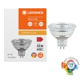 LED dæmpbar reflektorpære MR16 GU5,3/6,6W/12V 4000K 36° CRI 97 - Ledvance
