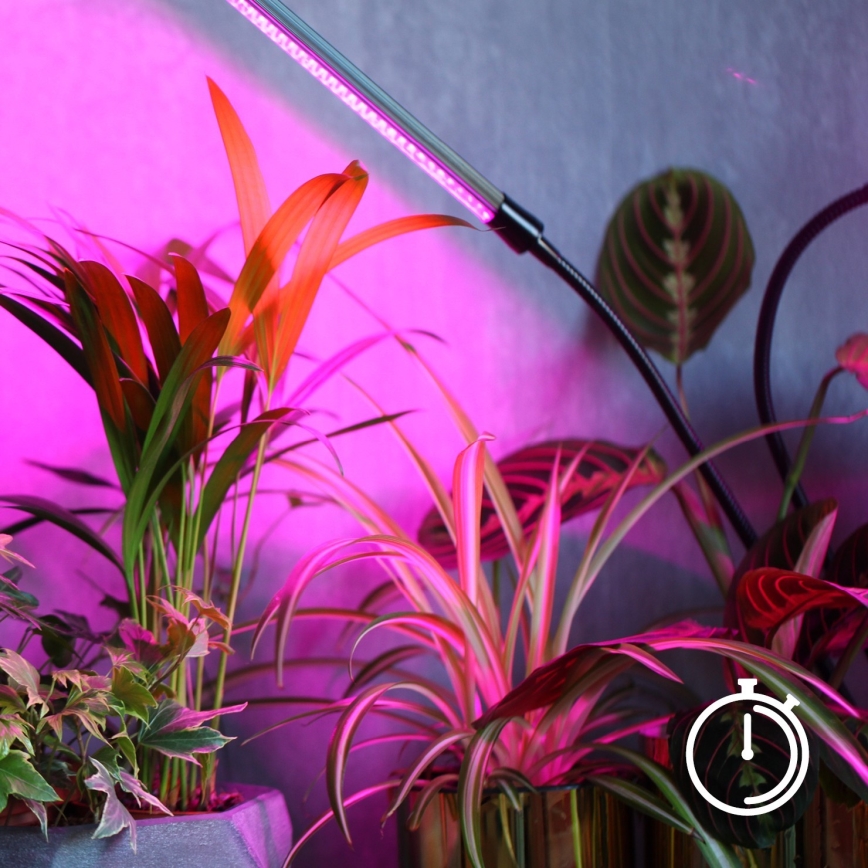 LED-dæmpbar fleksibel bordlampe til dyrkning af planter VITARO 4xLED/10W/230V sort