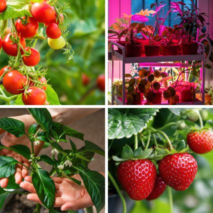 LED-dæmpbar fleksibel bordlampe til dyrkning af planter VITARO 4xLED/10W/230V sort