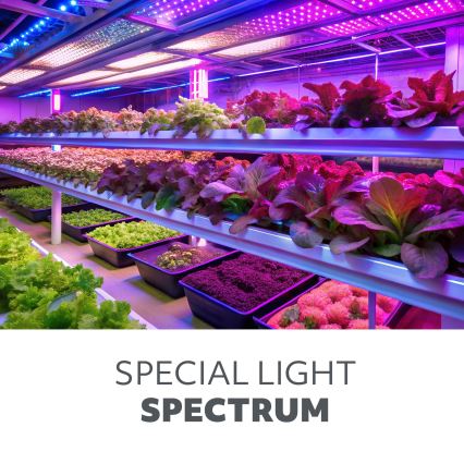 LED-dæmpbar fleksibel bordlampe til dyrkning af planter VITARO 4xLED/10W/230V sort