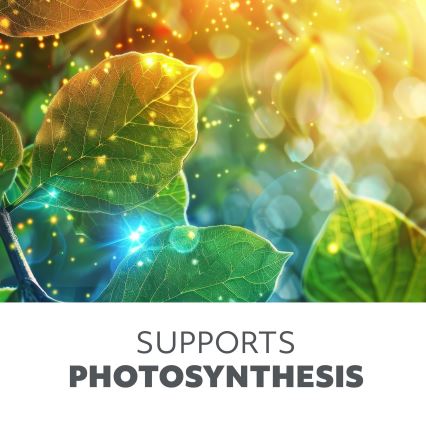 LED-dæmpbar fleksibel bordlampe til dyrkning af planter VITARO 4xLED/10W/230V sort