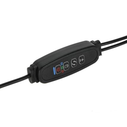 LED Dæmpbar fleksibel bordlampe med klemme til plantevækst VITARO 2xLED/4W/230V sort