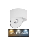 LED Fleksibel spotlampe LED/28W/230V 3000/4000/6400K CRI 90 hvid