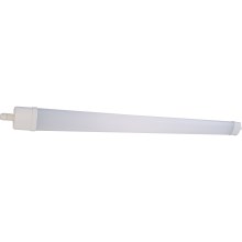 LED Fluorescerende lampe DAISY LED/30W/230V 4000K IP65