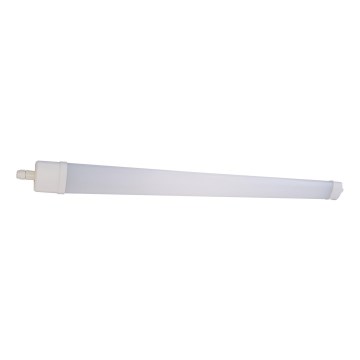 LED Fluorescerende lampe DAISY LED/30W/230V 4000K IP65