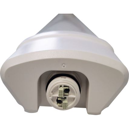 LED Fluorescerende lampe DAISY LED/30W/230V 4000K IP65