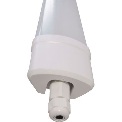 LED Fluorescerende lampe DAISY LED/40W/230V 4000K IP65