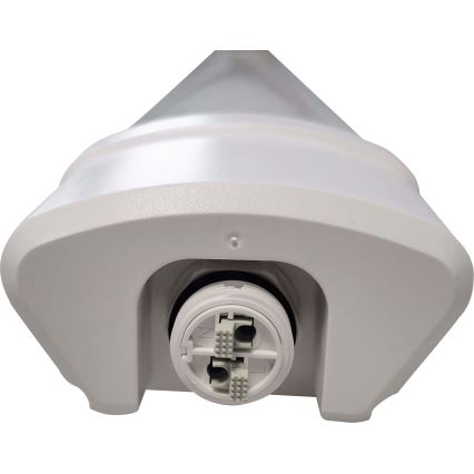 LED Fluorescerende lampe DAISY LED/40W/230V 4000K IP65