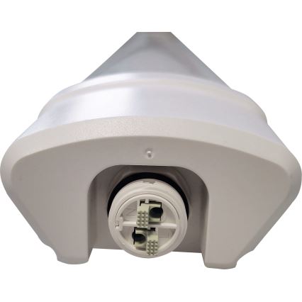 LED Fluorescerende lampe DAISY LED/60W/230V 4000K IP65