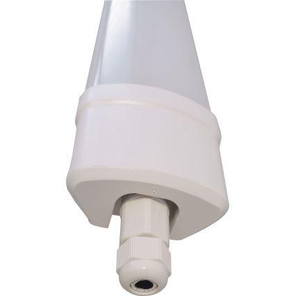 LED Fluorescerende lampe DAISY LED/80W/230V 4000K IP65