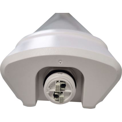 LED Fluorescerende lampe DAISY LED/80W/230V 4000K IP65