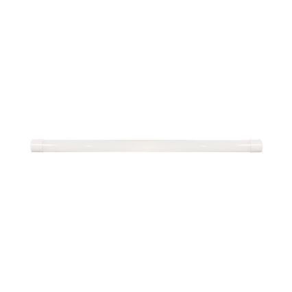 LED Fluorescerende lampe LED/40W/230V 3000/4000/6500K 116 cm