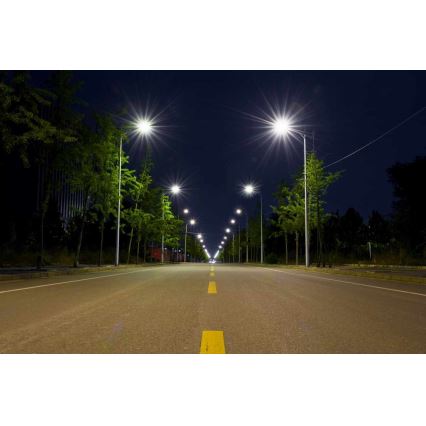 LED gadelampe BOSTON LED/35W/230V IP65