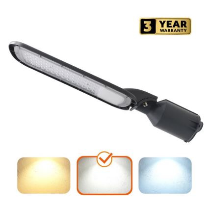 LED gadelampe BRELUXO LED/100W/230V 4000K IP65