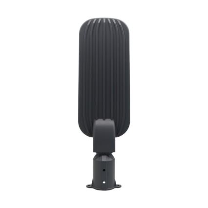 LED gadelampe BRELUXO LED/150W/230V 4000K IP65