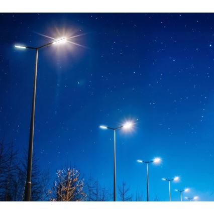 LED-gadelampe BRELUXO LED/50W/230V 4000K IP65