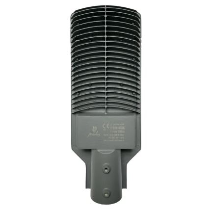 LED gadelampe LED/100W/170-400V IP65