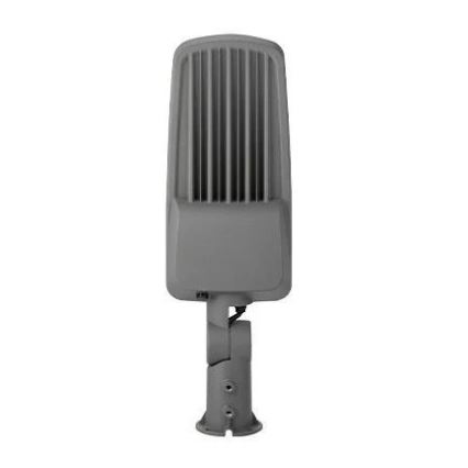 LED gadelampe LED/100W/230V 5000K IP65