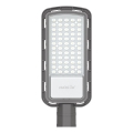LED gadelampe LED/150W/230V 6500K IP65 grå