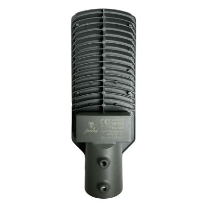 LED gadelampe LED/50W/170-400V 4000K IP65