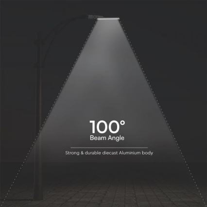 LED gadelampe SAMSUNG CHIP LED/50W/230V 6500K IP65