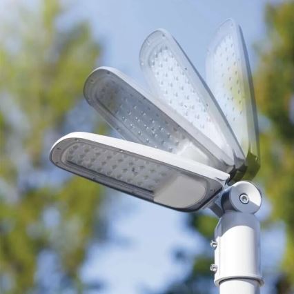 LED gadelampe SOLIS LED/30W/230V 3000K IP65