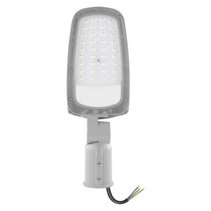 LED gadelampe SOLIS LED/30W/230V 4000K IP65