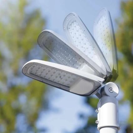 LED gadelampe SOLIS LED/50W/230V 4000K IP65