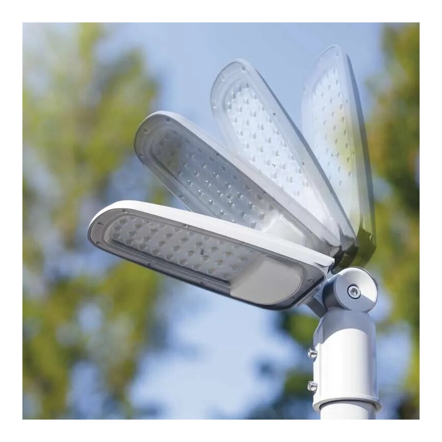 LED gadelampe SOLIS LED/50W/230V 4000K IP65