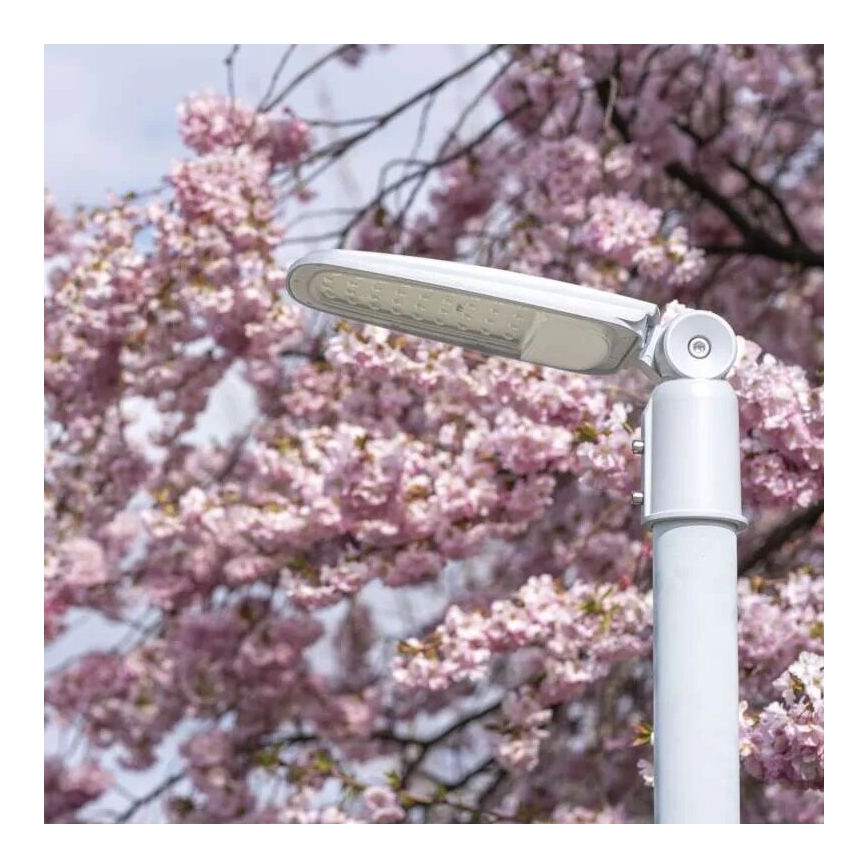 LED gadelampe SOLIS LED/50W/230V 4000K IP65