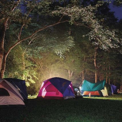 LED Genopladelig lommelygte LED/3,7V 4000 mAh