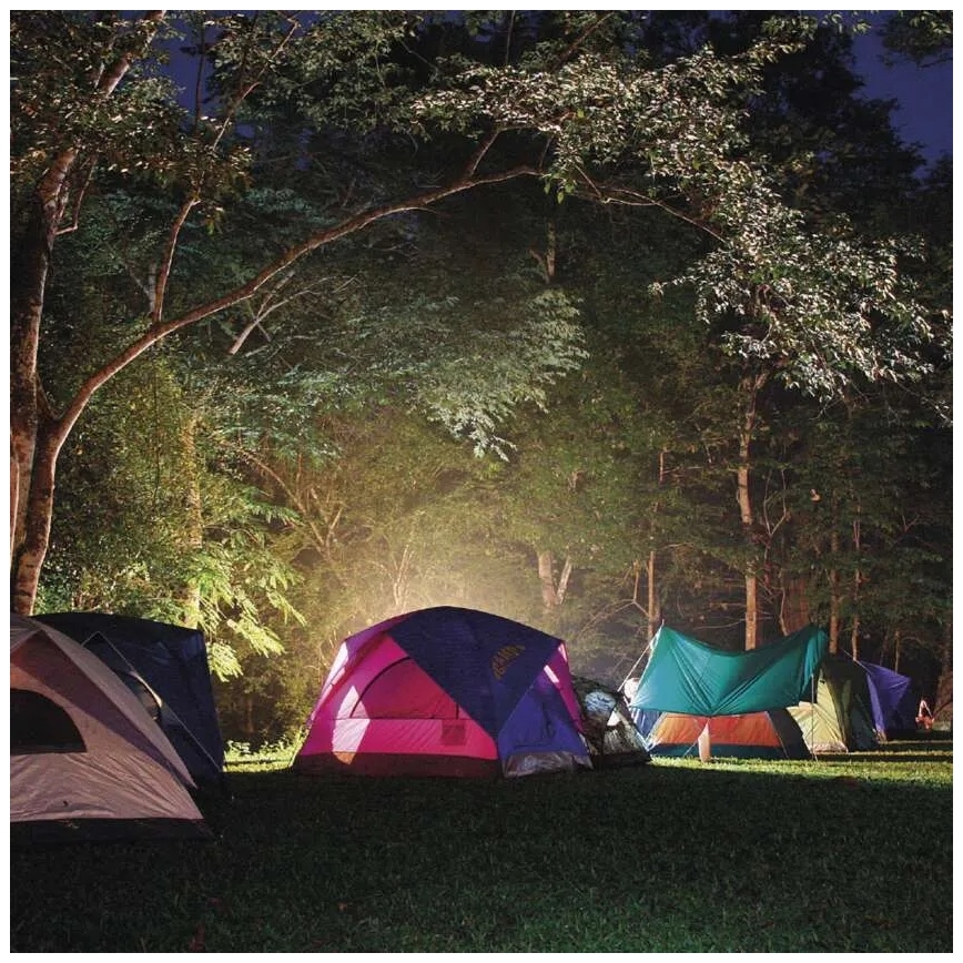 LED Genopladelig lommelygte LED/3,7V 4000 mAh