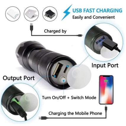 LED genopladelig stavlygte LED/10W/4,5V