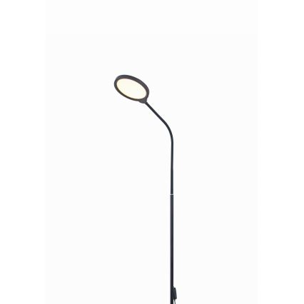LED gulvlampe dæmpbar 02.01.2001 LED/10W/230V 3000-4500-6500K sort