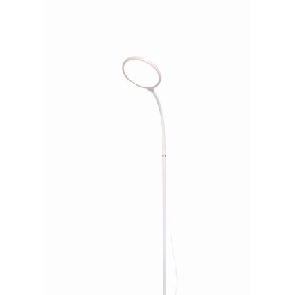 LED gulvlampe dæmpbar 02.01.2001 LED/10W/230V hvid