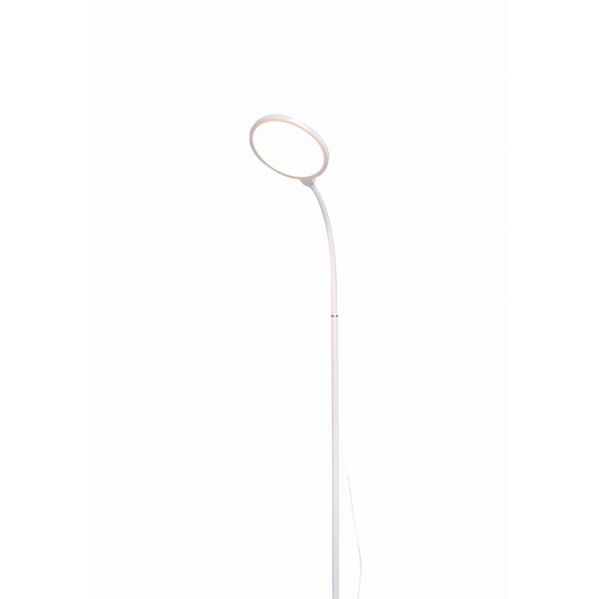 LED gulvlampe dæmpbar 02.01.2001 LED/10W/230V hvid