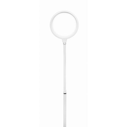 LED gulvlampe dæmpbar 02.01.2001 LED/10W/230V hvid