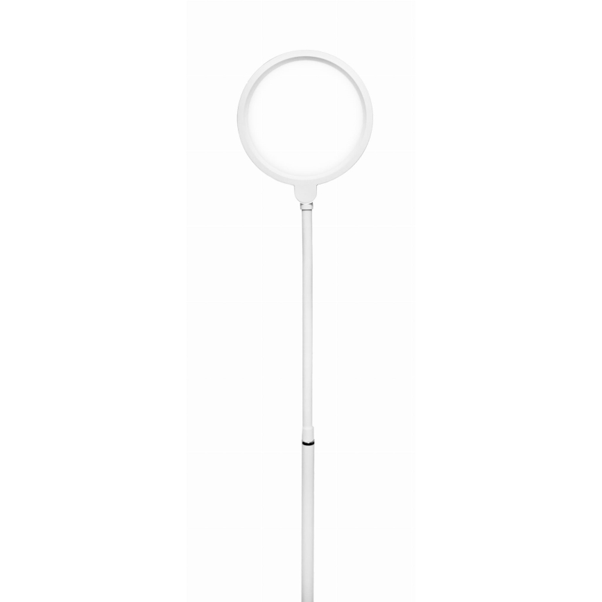LED gulvlampe dæmpbar 02.01.2001 LED/10W/230V hvid