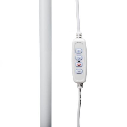LED gulvlampe dæmpbar SIGNUS LED/10W/230V 3000/4500/6500K hvid