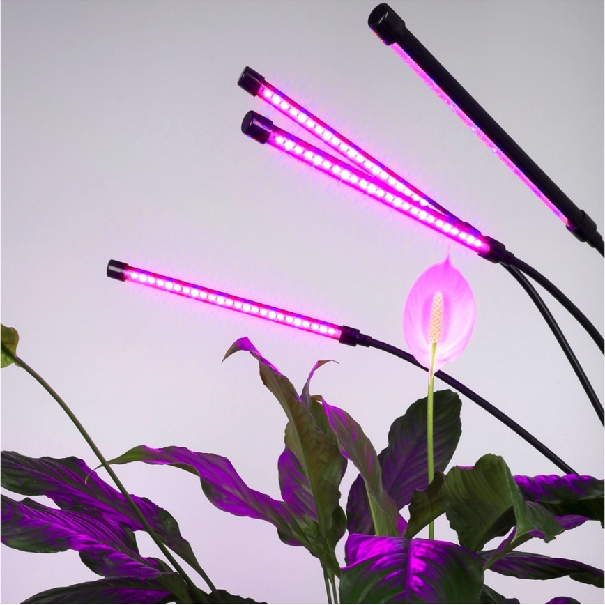LED Dæmpbar flexible gulvlampe til plantevækst VITARO 4xLED/7,5W/230V sort