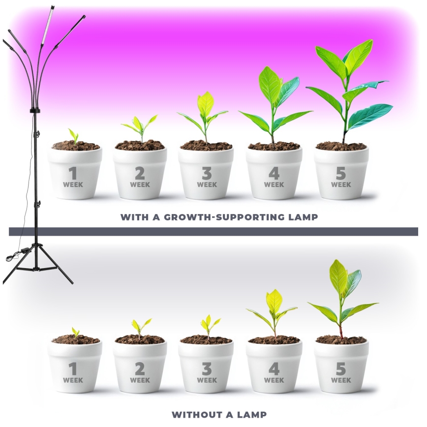 LED Dæmpbar flexible gulvlampe til plantevækst VITARO 4xLED/7,5W/230V sort