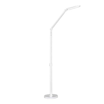 LED gulvlampe m. touch-funktion dæmpbar FERRARA LED/13W/230V 3000/4000/6000K hvid