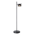LED-gulvlampe OFELIA 1xGX53/6W/230V sort/røget