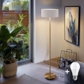 LED gulvlampe TUNJA 1xE27/20W/230V Ø 38 cm guld/hvid