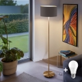 LED gulvlampe TUNJA 1xE27/20W/230V Ø 38 cm guld/taupe