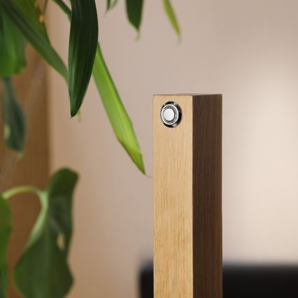 LED Gulvlampe VERDE LED/18W/230V 3000K eg/sort